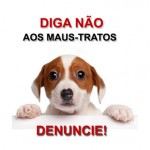 Maus tratos de animais