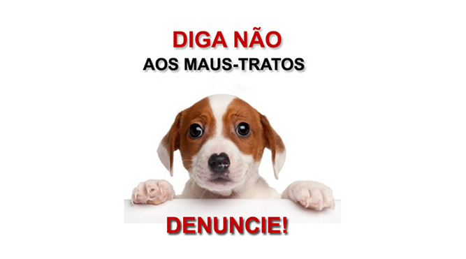 Maus tratos de animais – Denuncie