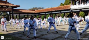 Fiorella Bonaguro - Atleta de Karate - Templo Zulai - Cotia